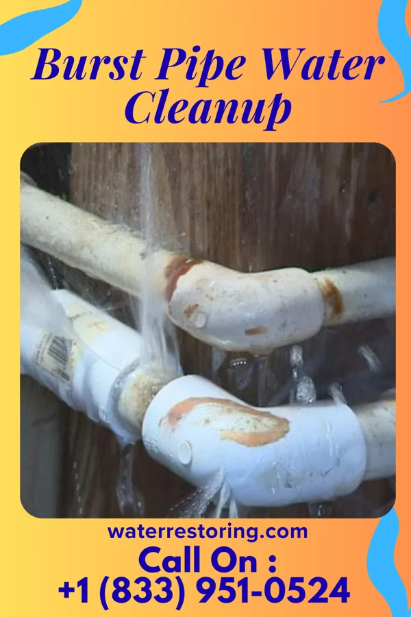 Burst Pipe Water Cleanup in Templeville, MD