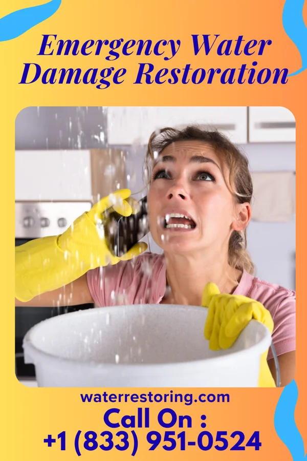 Emergency Water Damage Restoration in Templeville, MD