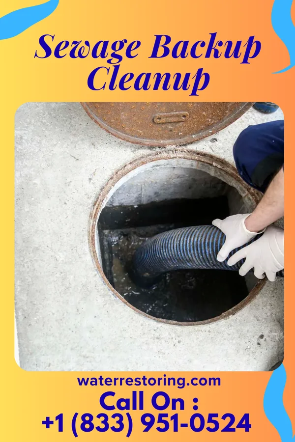Sewage Backup Cleanup in Templeville, MD